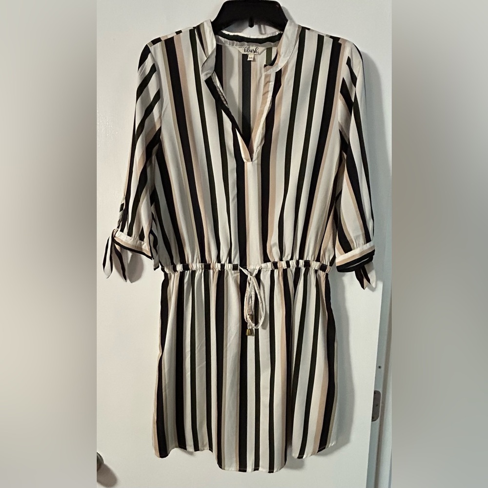Blush Black and White Striped Long Sleeve Dress